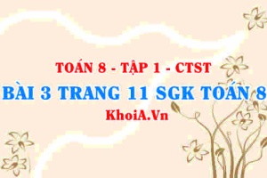 Bài 3 trang 11 SGK Toán 8 Tập 1 Chân trời sáng tạo